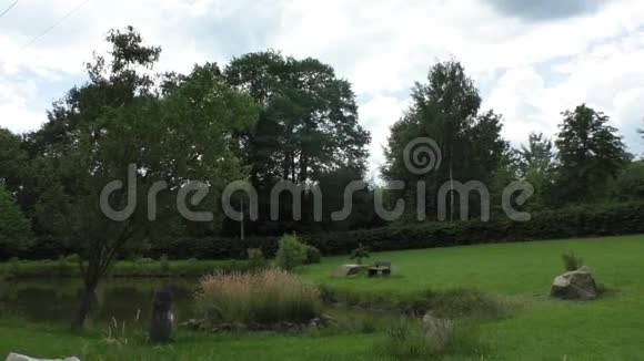 在阳光明媚的一天在树的背景下靠近池塘的公园长椅视频的预览图