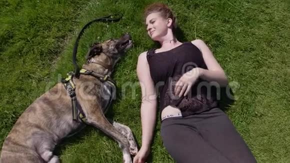 美丽的少妇与宠物狗躺在绿草中视频的预览图