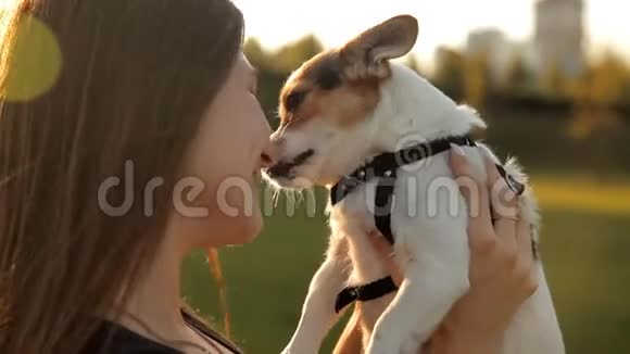 小女孩坐在公园的草坪上亲吻她的狗视频的预览图