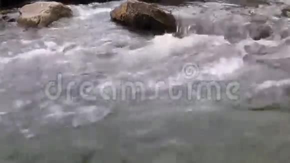 山河中的大山雀视频的预览图