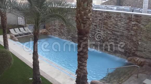 泳池露台和棕榈树视频的预览图