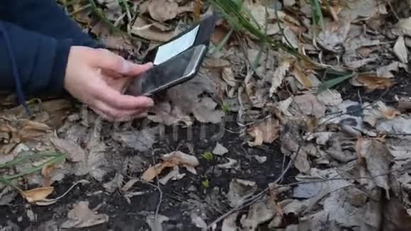 女人在森林里拍一张嫩芽或植物的照片视频的预览图