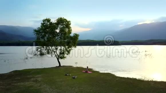 湖岸上的大孤树草地上的女人视频的预览图