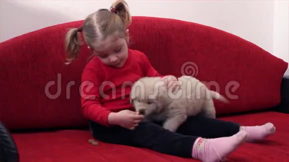小女孩喂狗视频的预览图
