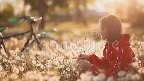年轻女孩坐在蒲公英的田野里背景自行车视频的预览图