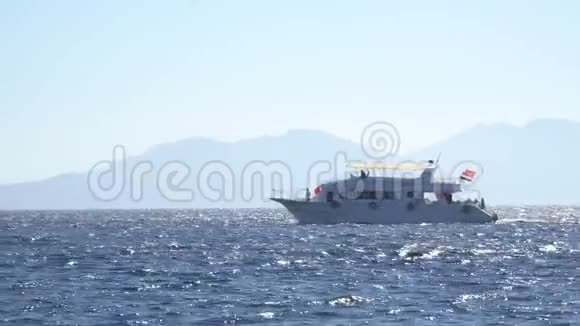 优雅优雅的动力船正在进行中游艇和热带岛屿视频的预览图