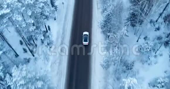 在雪林的冬季乡村道路上行驶的汽车上的鸟瞰图视频的预览图
