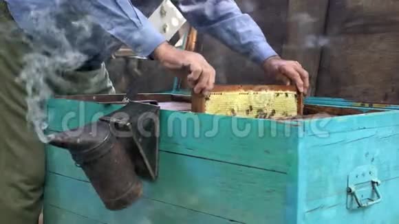 在户外从木制蜂巢收获蜂蜜的过程视频的预览图