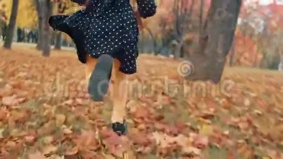 小可爱的小女孩一头卷发穿着圆点花纹的裙子穿过公园里的秋巷视频的预览图