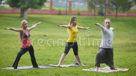 公园瑜伽训练青少年运动员在户外进行弹性锻炼视频的预览图