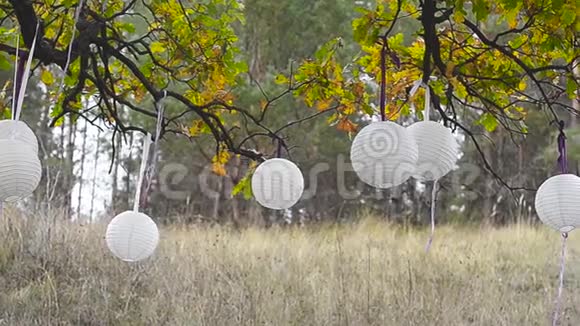 婚礼设置在花园公园在公园里用白色纸球装饰的树举行婚礼在森林里举行婚礼视频的预览图