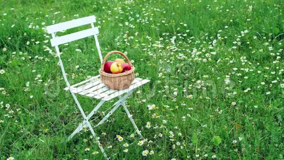 美丽的红苹果放在篮子里放在白色的椅子上在一片盛开的雏菊田野里草坪上视频的预览图