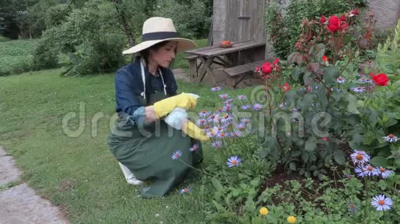女花匠在鲜花旁边喷着瓶子视频的预览图