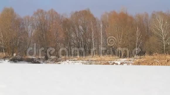 冬天的雪覆过冰冻的湖面视频的预览图