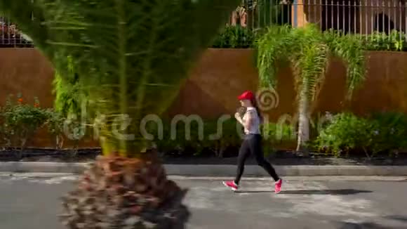 女人沿着街道在棕榈树之间奔跑健康的生活方式视频的预览图
