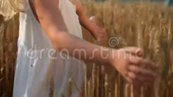一个小女孩的手触摸麦粒视频的预览图