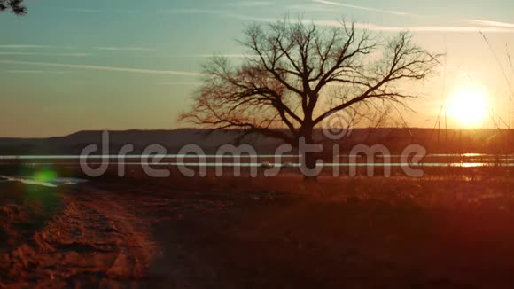 夕阳下路上两个人站在一棵树上剪影运动的年轻人在大自然中奔跑视频的预览图
