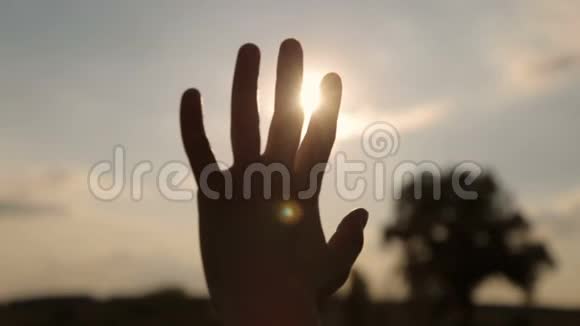 黄昏的阳光透过手指闪耀视频的预览图