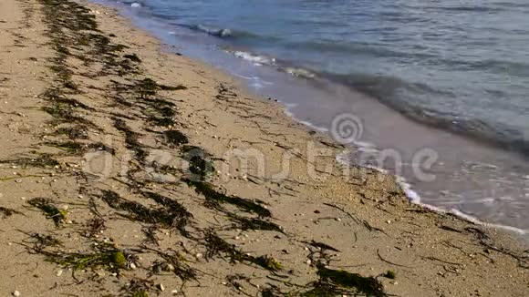 尼恩皇后海滩达尔马提亚克罗地亚宁是克罗地亚著名的旅游目的地视频的预览图