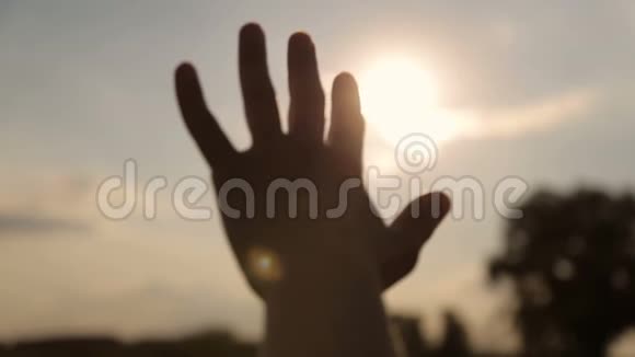 黄昏的阳光透过手指闪耀视频的预览图