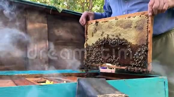 在户外从木制蜂巢收获蜂蜜的过程视频的预览图