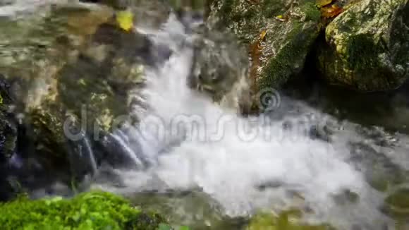 山溪里的小瀑布视频的预览图
