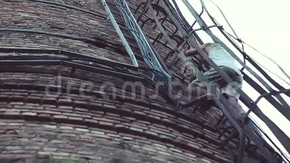 极限运动年轻人走下砖厂烟囱的金属楼梯视频的预览图