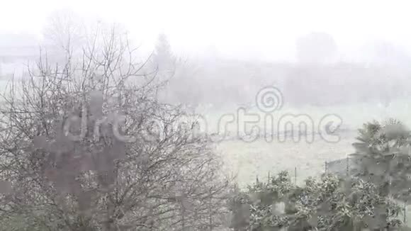 意大利维泰博的大雪视频的预览图