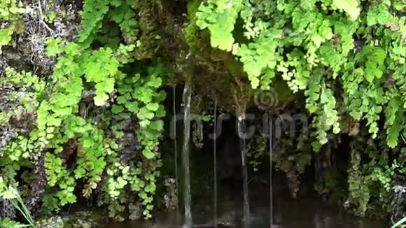乡村摇滚花园喷泉视频的预览图