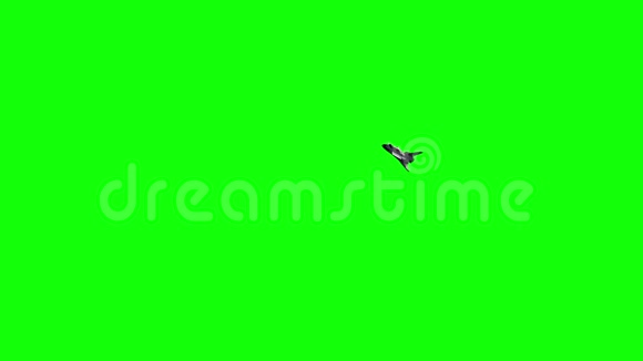 航天飞机的飞行绿色屏幕视频的预览图