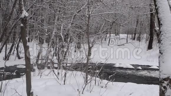 山泉流在白雪覆盖的森林里泉水泛滥的标准视频的预览图