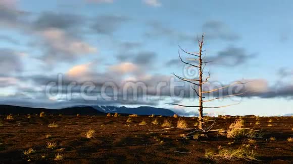 时间流逝在Deadwood地区的日落覆盖着一层堆积的火山灰直升机旅游公园视频的预览图