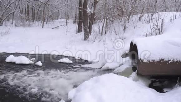 水泄管铂在冬林中水流从融雪树木覆盖雪视频的预览图