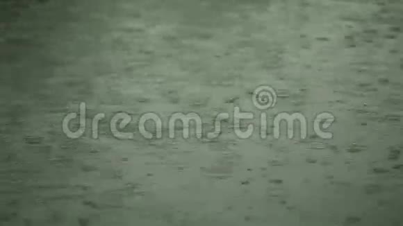 水面有雨滴视频的预览图