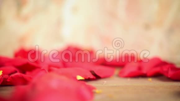 木地板上的粉红色玫瑰花情人节视频的预览图