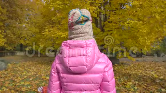 女孩坐在一个巨大的分割摆姿势在秋天公园视频的预览图