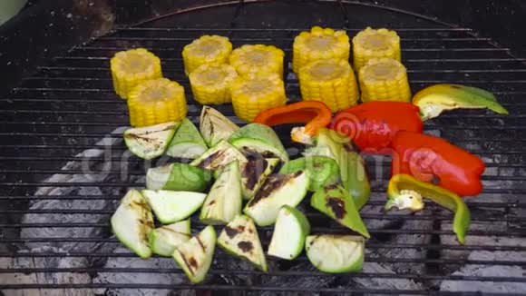 在户外烧烤上烤蔬菜蔬菜用木炭烤蔬菜在烤架上烤着视频的预览图