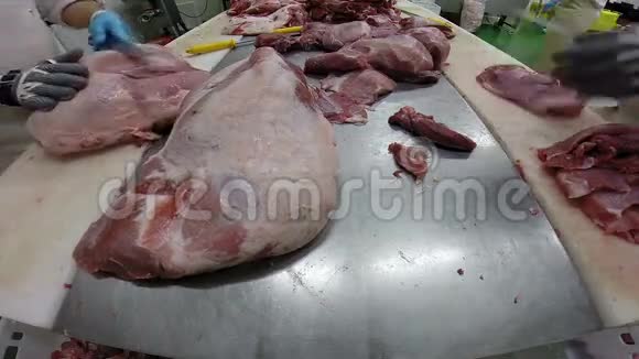 肉类加工设施视频的预览图