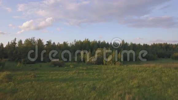 鸟瞰绿林不同的树木草地对抗蓝天在白天视频的预览图
