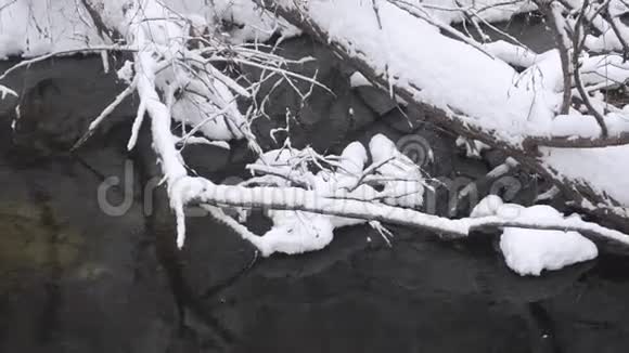 寒溪泉涌岸边覆冰雪水中落树林中落雪视频的预览图