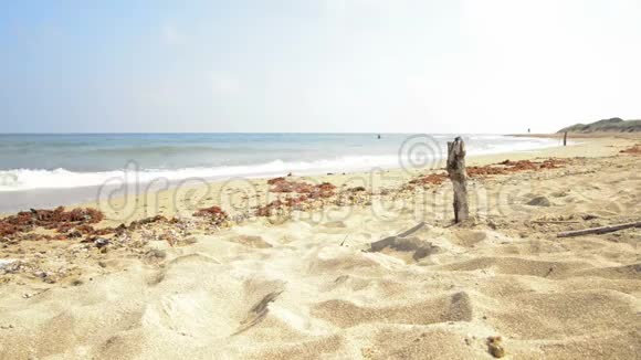 海水轻轻地在沙中的木头上断裂视频的预览图