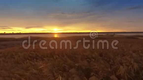 日落时观赏美丽的湖景和芦苇田视频的预览图
