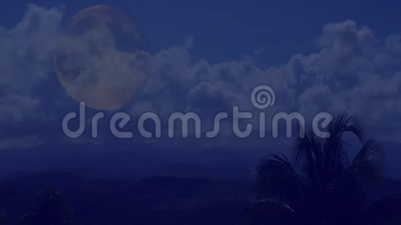 热带之夜的满月夜空的棕榈树视频的预览图