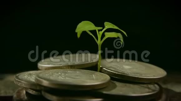 从一小撮硬币中植物生长生长幸福的概念视频的预览图