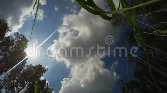 DogDoberman在蓝天背景的框架中飞翔视频的预览图