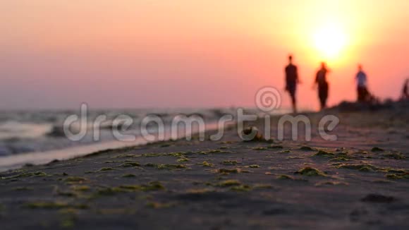 日落时分两个人和一只狗在海岸散步视频的预览图
