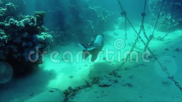 潜水员在阳光下在锚链附近游泳一个奇妙的潜水冒险和冒险的世界视频的预览图