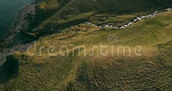 鸟瞰山谷中的野山河流在冰岛的绿色田野上空飞行的直升机视频的预览图