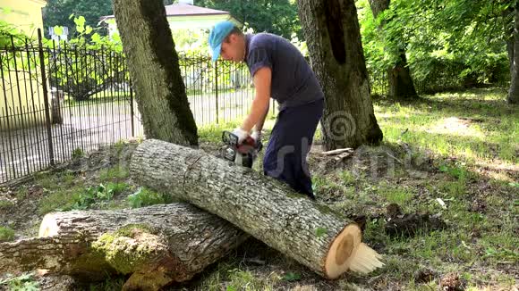 工人用电锯把树干锯成碎片视频的预览图