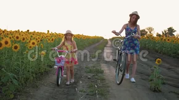 家庭在大自然中骑自行车妈妈和女儿骑自行车在向日葵的田野上戴帽子的母女视频的预览图